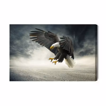 Canvastavla - The Eagle During the Storm