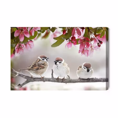 Canvastavla - Sparrows Birds