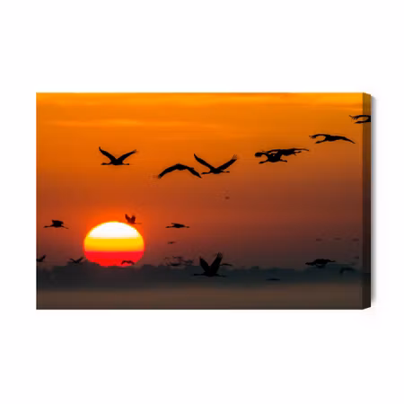 Canvastavla - Flying Cranes