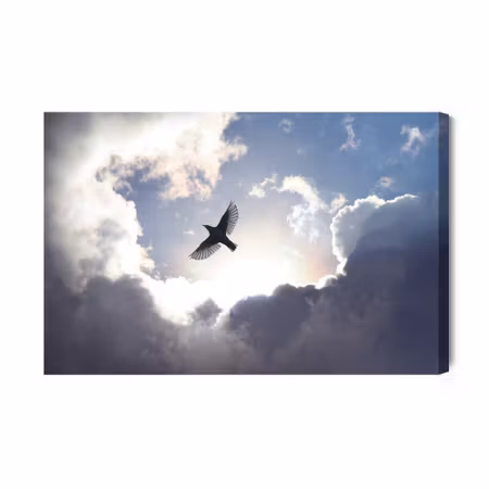Canvastavla - Bird on a Background of the Sky