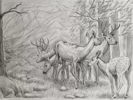 Canvastavla - Sketch of a Deer