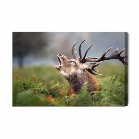 Canvastavla - A Roaring Deer