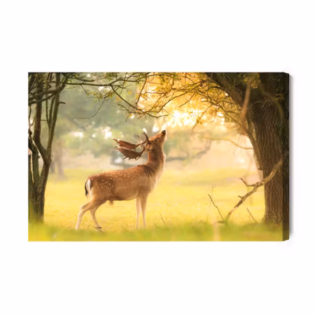 Canvastavla - A Prominent Deer Among the Trees