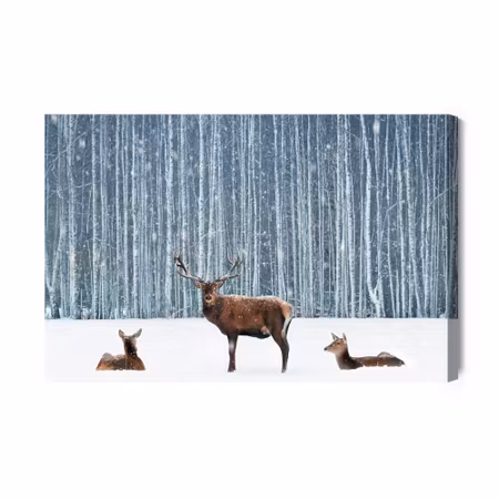 Canvastavla - Deer and Does in a Winter Forest
