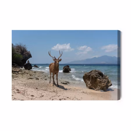 Canvastavla - Deer on the Beach