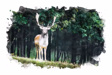 Canvastavla - A Deer in the Forest Painted with