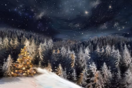 Canvastavla - Winter Forest At Night