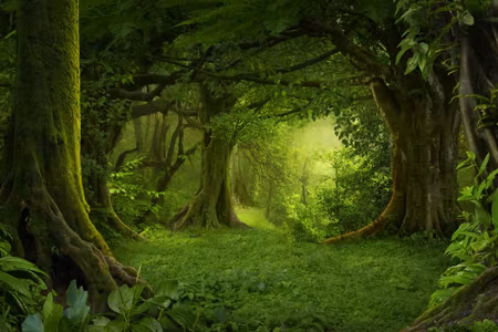 Canvastavla - The Depth of the Tropical Forest