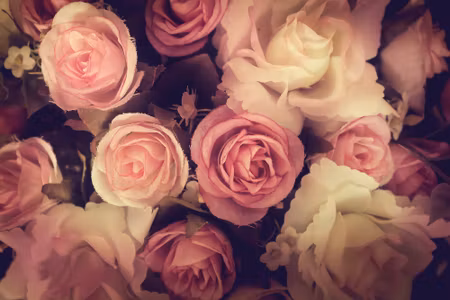 Canvastavla - Colorful Roses with a D Effect