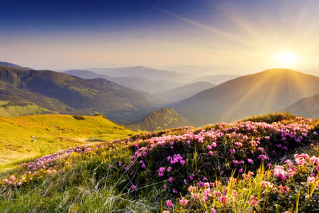 Canvastavla - Sunset in the Mountains