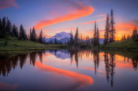 Canvastavla - Tipsoo Lake Usa