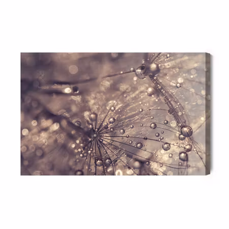 Canvastavla - Dandelion Water Drops
