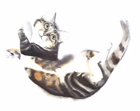 Canvastavla - Cat Painted with Watercolor
