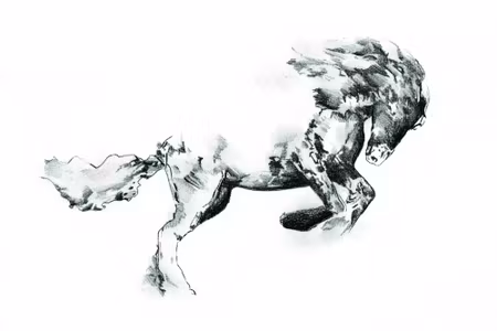 Canvastavla - Horse As Sketched