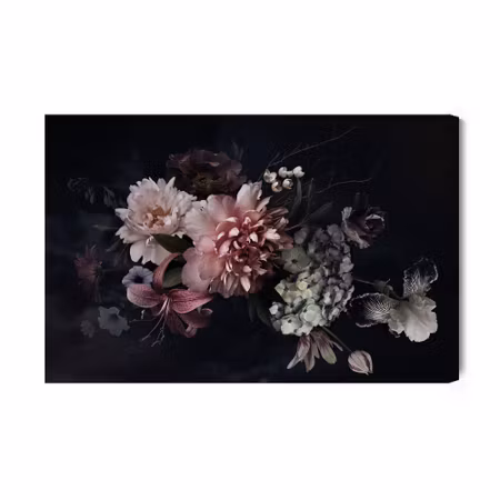 Canvastavla - Peonies on a Dark Background