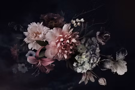 Canvastavla - Peonies on a Dark Background