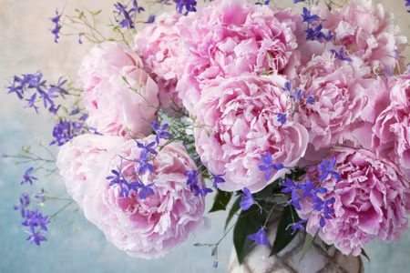 Canvastavla - Peonies in a Vase