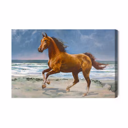 Canvastavla - Horse Sun and Sea