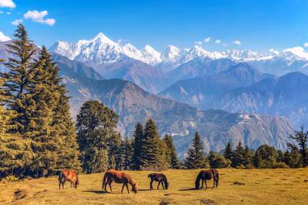 Canvastavla - Horses and Mountain Landscape