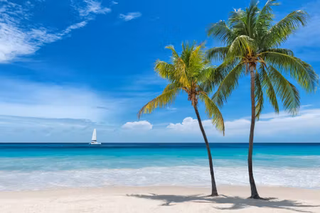 Canvastavla - Island in the Tropical Sea