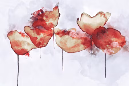 Canvastavla - Abstract Poppy Flowers