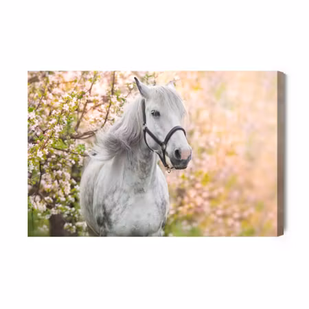 Canvastavla - Horse on a Background of Flowers