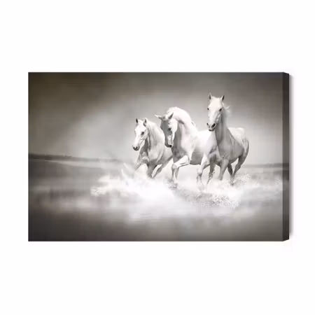 Canvastavla - Horses in Black and White