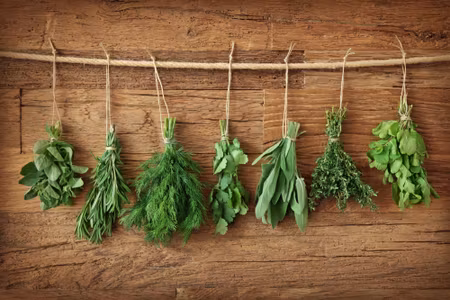 Canvastavla - Herbs of Provence