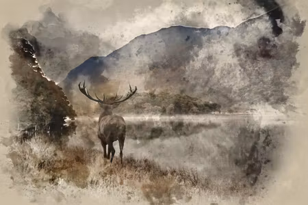 Canvastavla - Watercolor Landscape with Deer