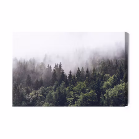 Canvastavla - Moon over Misty Trees