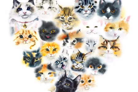 Canvastavla - Heart of Cats