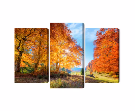 Canvastavla - Multipart Colourful Autumn Trees