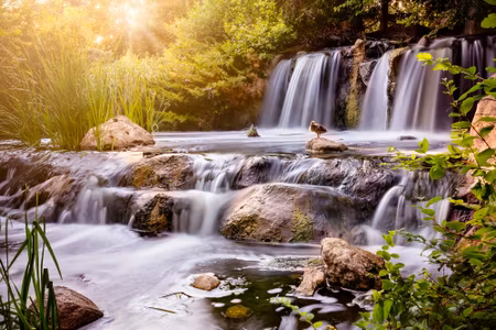 Canvastavla - Multipart Waterfall At Sunset