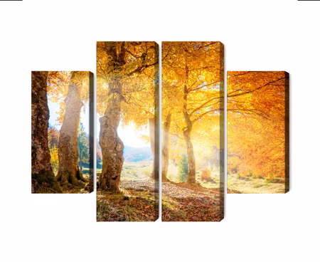Canvastavla - Multipart Sunny Autumn Forest