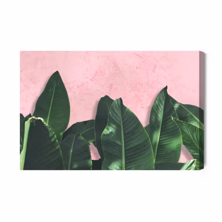 Canvastavla - Tropical Plants on a Pink Background
