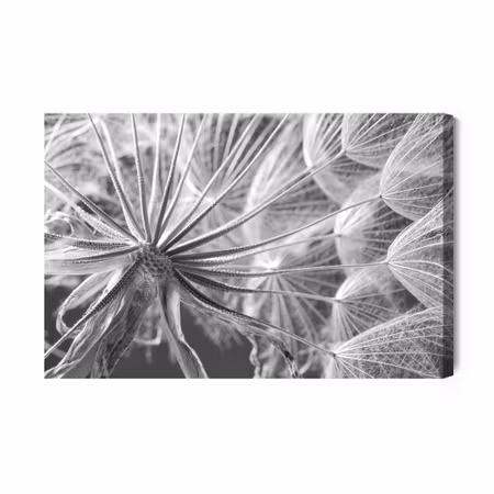 Canvastavla - Dandelion Close Up