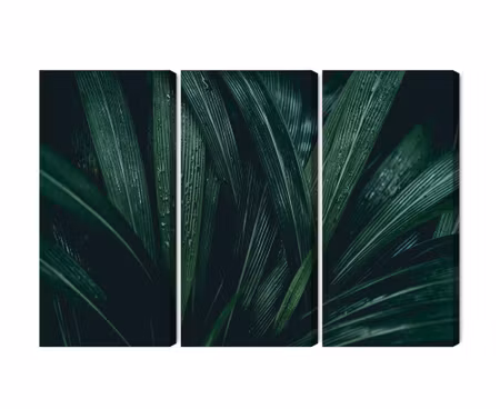 Canvastavla - Multipart Dark Green Leaves on a