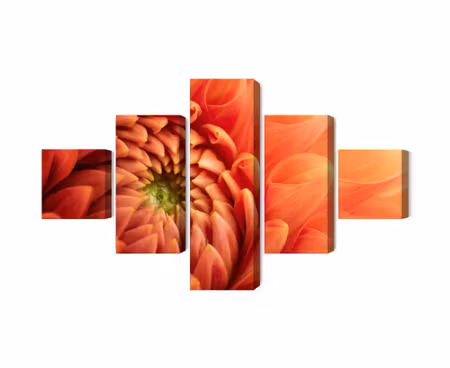 Canvastavla - Multipart Orange Chrysanthemum on a