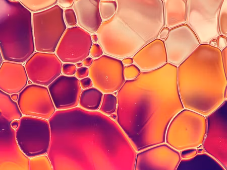 Canvastavla - Multipart Water Drops on a Macro