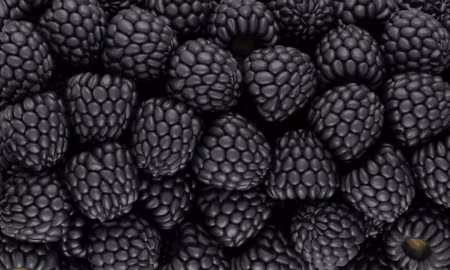 Canvastavla - Multipart Blackberries on a Macro