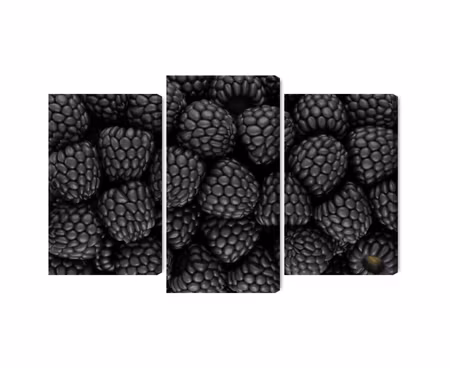 Canvastavla - Multipart Blackberries on a Macro
