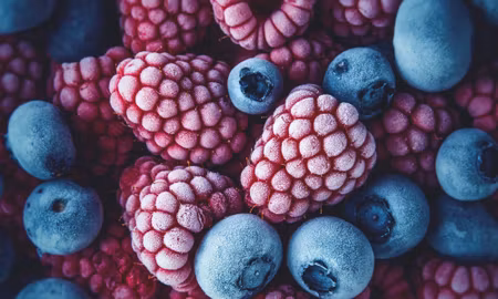 Canvastavla - Multipart Frozen Blueberries and