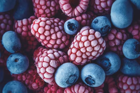 Canvastavla - Multipart Frozen Blueberries and