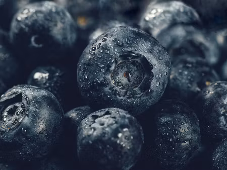 Canvastavla - Multipart Blueberries Close Up D