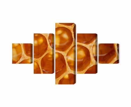 Canvastavla - Multipart Honeycomb in Macro Scale