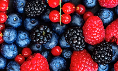 Canvastavla - Multipart Forest Fruits on a Macro