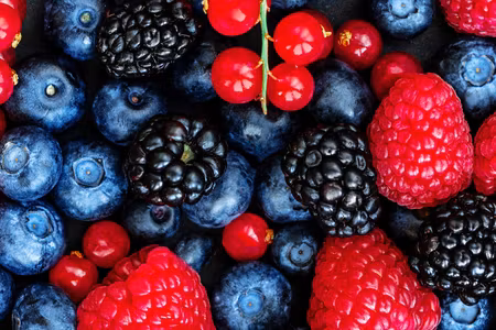 Canvastavla - Multipart Forest Fruits on a Macro