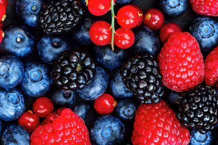 Canvastavla - Multipart Forest Fruits on a Macro