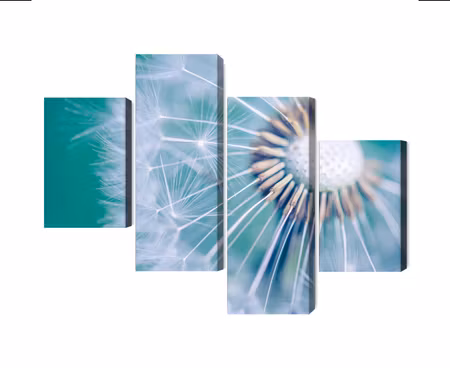 Canvastavla - Multipart Dandelion on a Macro Scale