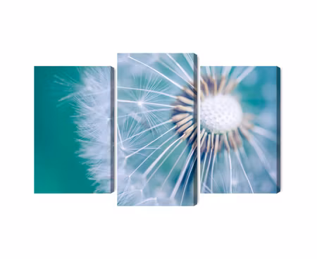 Canvastavla - Multipart Dandelion on a Macro Scale